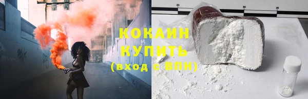 стаф Абаза