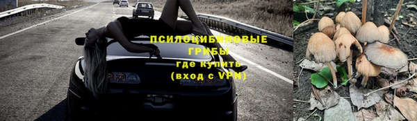 стаф Абаза