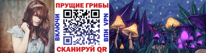 Галлюциногенные грибы мицелий Шебекино