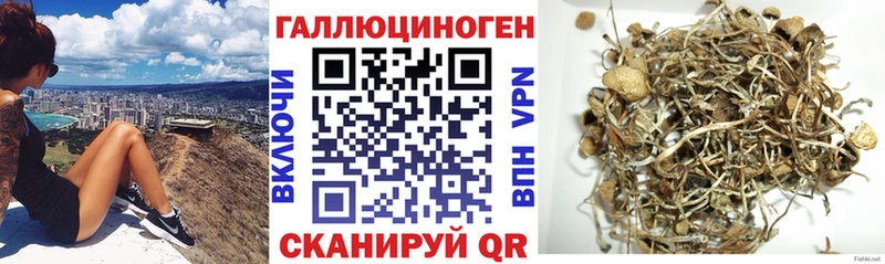 Псилоцибиновые грибы Psilocybine cubensis Шебекино